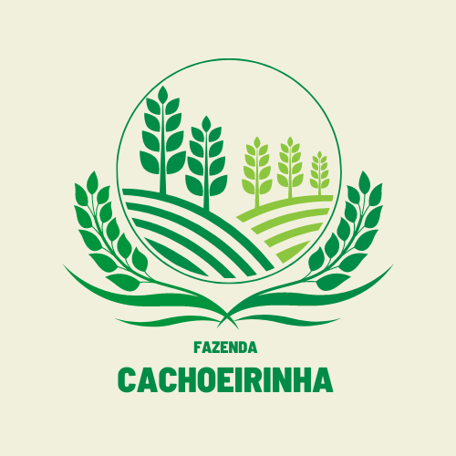 Cachoeira